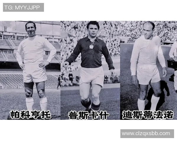 放羊足球球星的成长故事与传奇生涯如何影响现代足球发展